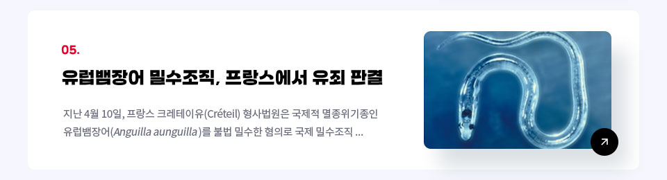 05. 유럽뱀장어 밀수조직, 프랑스 법원에서 유죄 판결/ 지난 4월 10일, 프랑스 크레테이유(Créteil) 형사법원은 국제적 멸종위기종인...